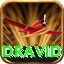 dravid - 3