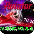 pk11 Money King v2.3.4
